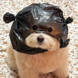 小敏